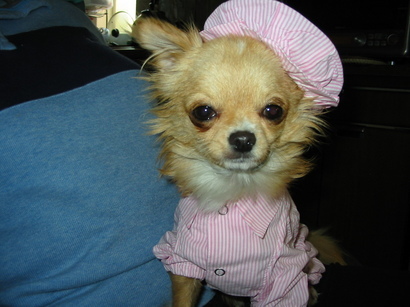 ���݂ʂ���������Ƃ��ʂ̂킳��