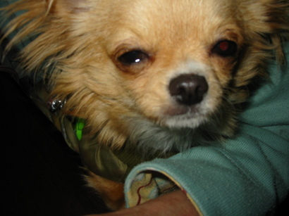 ���݂ʂ���������Ƃ��ʂ̂킳��