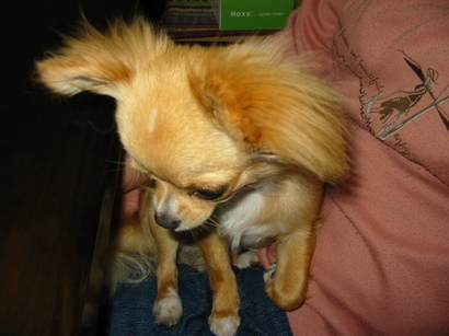 ���݂ʂ���������Ƃ��ʂ̂킳��