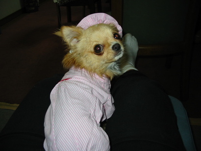 ���݂ʂ���������Ƃ��ʂ̂킳��