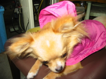 ���݂ʂ���������Ƃ��ʂ̂킳��