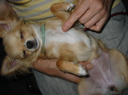 ���݂ʂ���������Ƃ��ʂ̂킳��