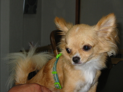 ���݂ʂ���������Ƃ��ʂ̂킳��