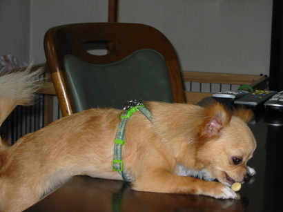 ���݂ʂ���������Ƃ��ʂ̂킳��