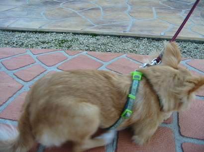 ���݂ʂ���������Ƃ��ʂ̂킳��