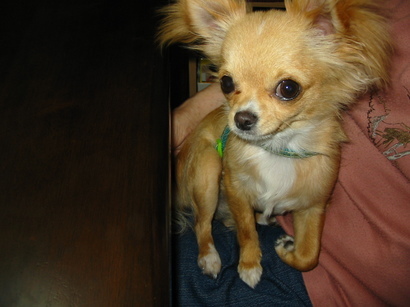 ���݂ʂ���������Ƃ��ʂ̂킳��