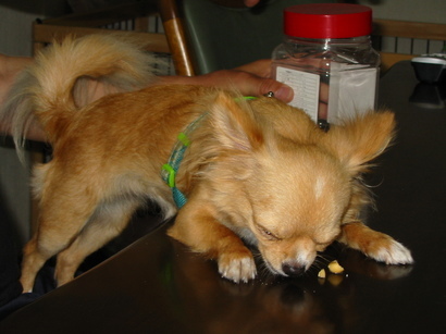 ���݂ʂ���������Ƃ��ʂ̂킳��