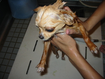 ���݂ʂ���������Ƃ��ʂ̂킳��