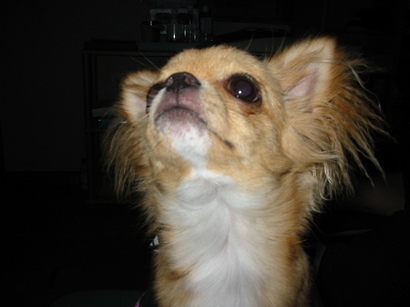 ���݂ʂ���������Ƃ��ʂ̂킳��