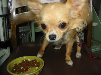 ���݂ʂ���������Ƃ��ʂ̂킳��