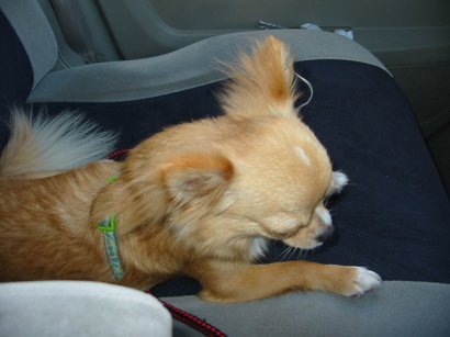 ���݂ʂ���������Ƃ��ʂ̂킳��