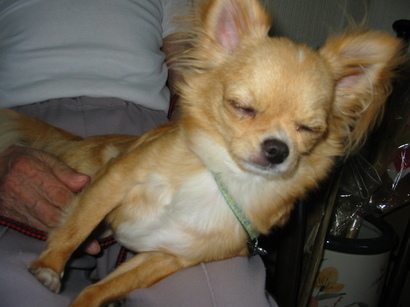 ���݂ʂ���������Ƃ��ʂ̂킳��