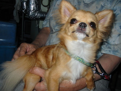 ���݂ʂ���������Ƃ��ʂ̂킳��