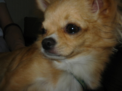 ���݂ʂ���������Ƃ��ʂ̂킳��