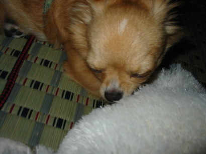 ���݂ʂ���������Ƃ��ʂ̂킳��