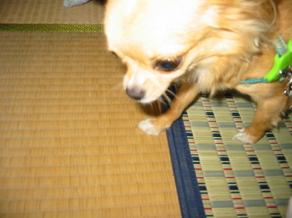 ���݂ʂ���������Ƃ��ʂ̂킳��