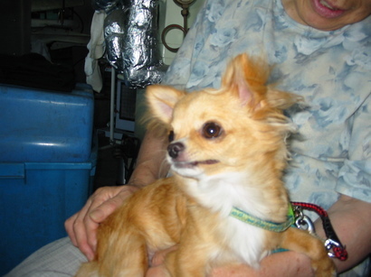 ���݂ʂ���������Ƃ��ʂ̂킳��