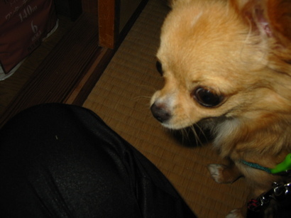 ���݂ʂ���������Ƃ��ʂ̂킳��