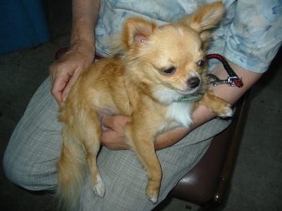 ���݂ʂ���������Ƃ��ʂ̂킳��