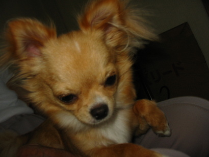 ���݂ʂ���������Ƃ��ʂ̂킳��