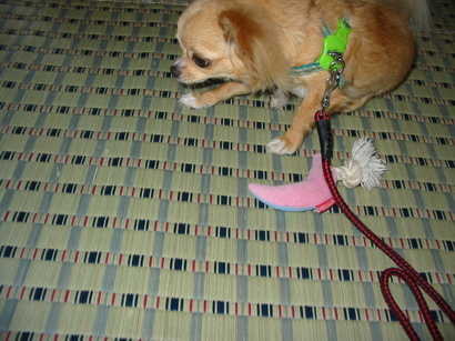 ���݂ʂ���������Ƃ��ʂ̂킳��