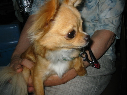 ���݂ʂ���������Ƃ��ʂ̂킳��