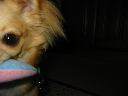 ���݂ʂ���������Ƃ��ʂ̂킳��