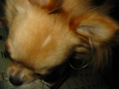 ���݂ʂ���������Ƃ��ʂ̂킳��