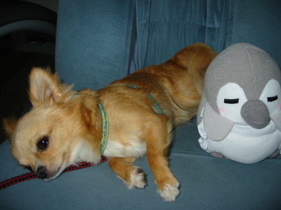 ���݂ʂ���������Ƃ��ʂ̂킳��