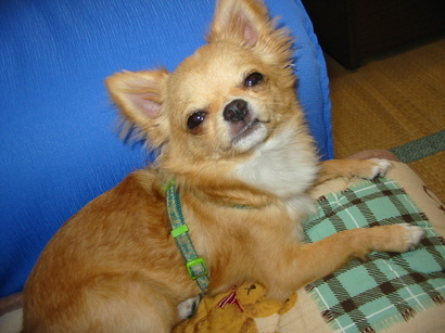 ���݂ʂ���������Ƃ��ʂ̂킳��