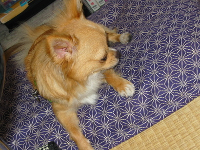 ���݂ʂ���������Ƃ��ʂ̂킳��