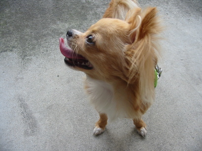 ���݂ʂ���������Ƃ��ʂ̂킳��