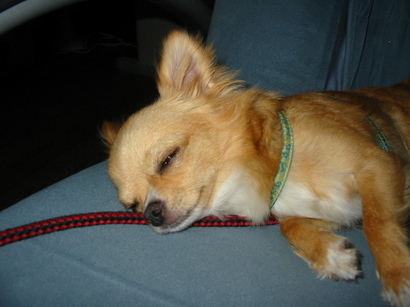 ���݂ʂ���������Ƃ��ʂ̂킳��