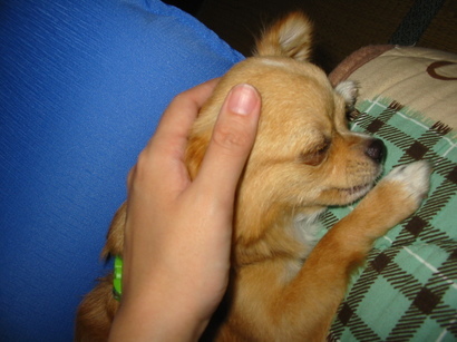 ���݂ʂ���������Ƃ��ʂ̂킳��