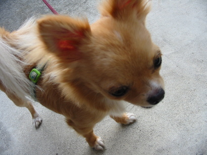 ���݂ʂ���������Ƃ��ʂ̂킳��