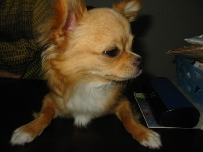 ���݂ʂ���������Ƃ��ʂ̂킳��