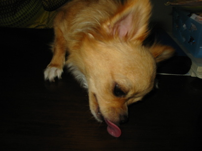 ���݂ʂ���������Ƃ��ʂ̂킳��