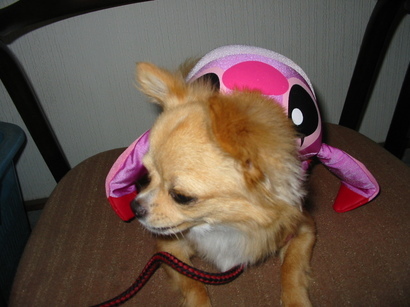 ���݂ʂ���������Ƃ��ʂ̂킳��