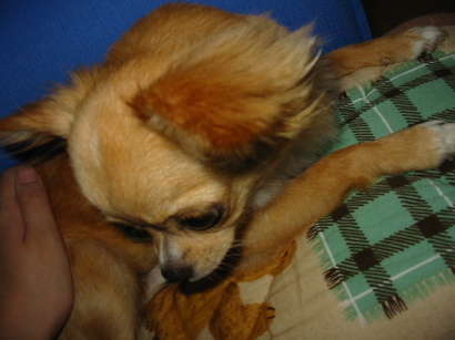 ���݂ʂ���������Ƃ��ʂ̂킳��