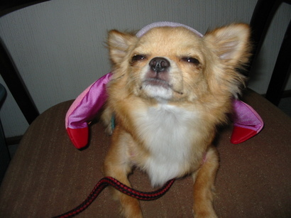 ���݂ʂ���������Ƃ��ʂ̂킳��