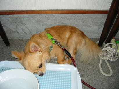 ���݂ʂ���������Ƃ��ʂ̂킳��