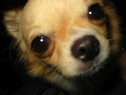 ���݂ʂ���������Ƃ��ʂ̂킳��