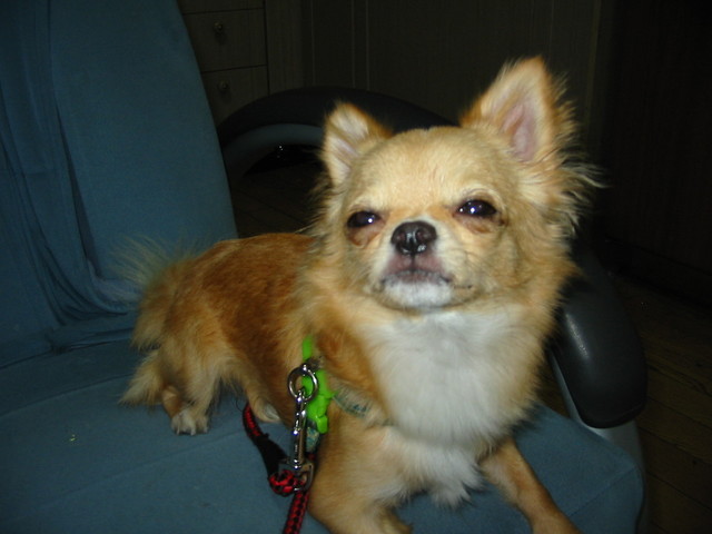 ���݂ʂ���������Ƃ��ʂ̂킳��