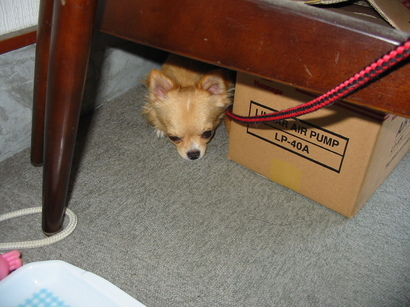 ���݂ʂ���������Ƃ��ʂ̂킳��