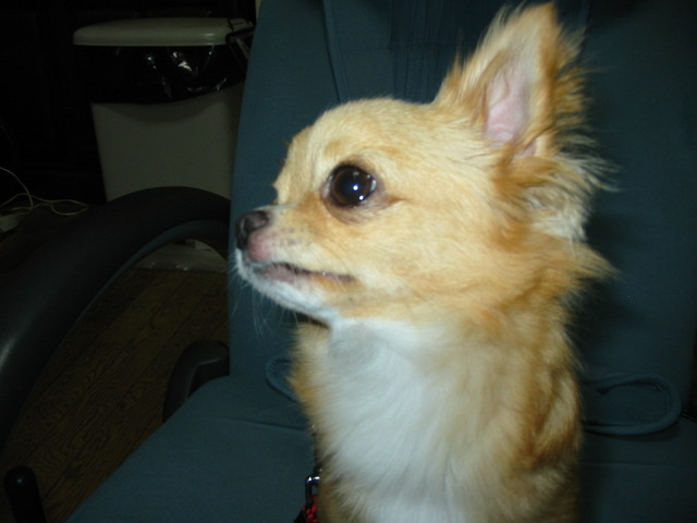 ���݂ʂ���������Ƃ��ʂ̂킳��