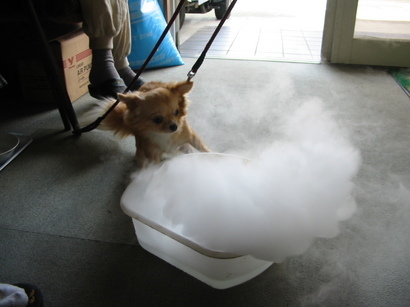 ���݂ʂ���������Ƃ��ʂ̂킳��