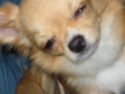 ���݂ʂ���������Ƃ��ʂ̂킳��