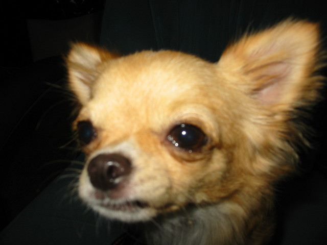 ���݂ʂ���������Ƃ��ʂ̂킳��