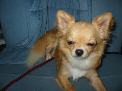 ���݂ʂ���������Ƃ��ʂ̂킳��