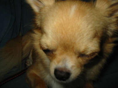 ���݂ʂ���������Ƃ��ʂ̂킳��